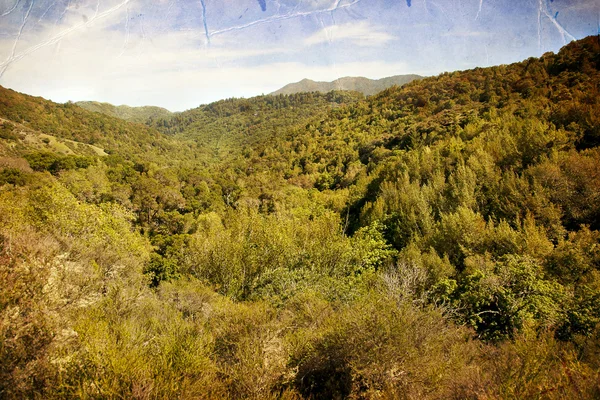 Våren natur bakgrund — Stockfoto