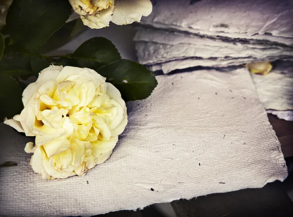 Weiße Rosen, Blütenblätter und Büttenpapier — Stockfoto