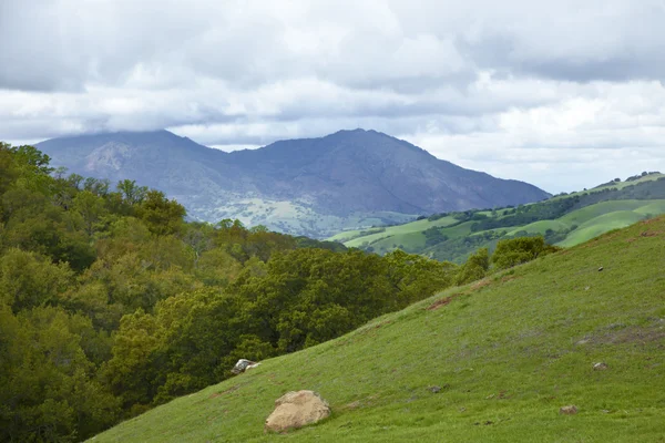 Sommerlandschaft — Stockfoto