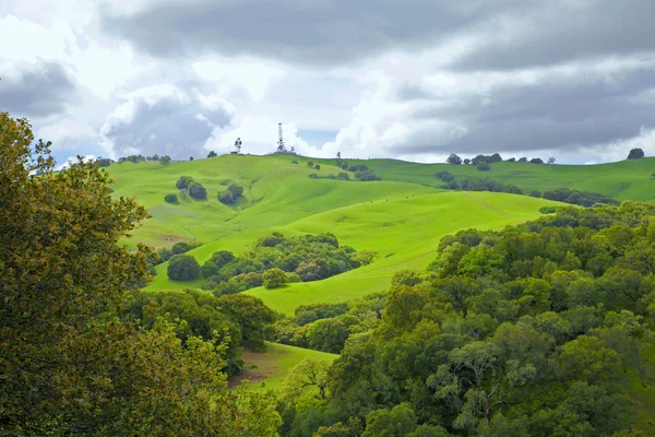 Zomer landschap — Stockfoto