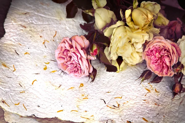 Roses and handmade paper — Stock Photo, Image