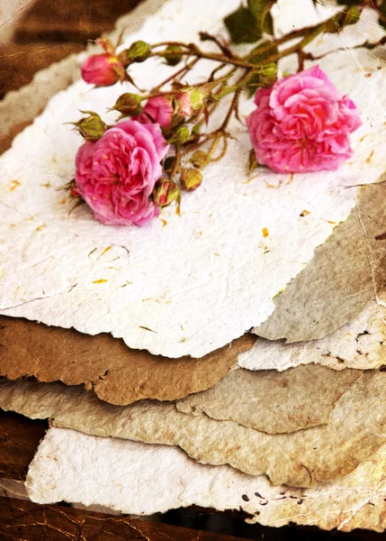 Roses and handmade paper — Stock Photo, Image