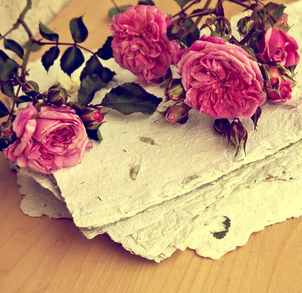 Розовые розы, лепестки и бумага ручной работы — стоковое фото