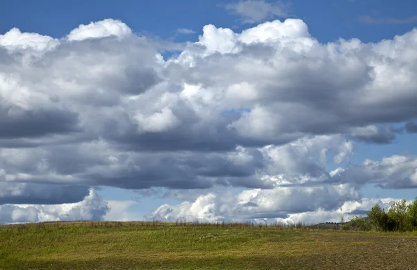 Landschap met blauwe lucht — Stockfoto