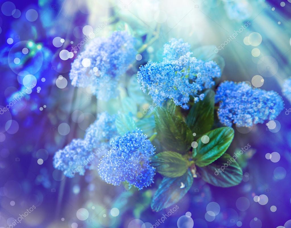 小さな青い花と背景 ストック写真 C Artnature 小さな青い花と背景 ストック写真 C Artnature