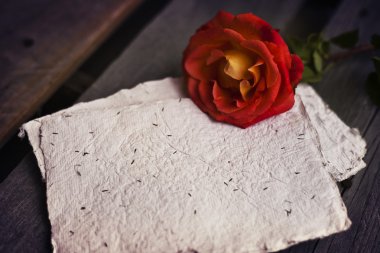 El yapımı kağıt ile kırmızı gül