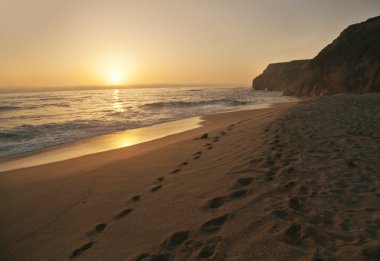 Güzel sahil ve tropikal deniz
