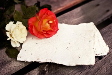 Güzel kırmızı ve beyaz güller