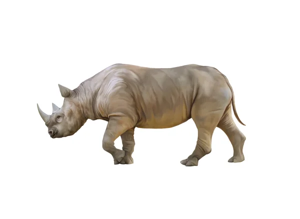 Великі африканські носоріг — стокове фото