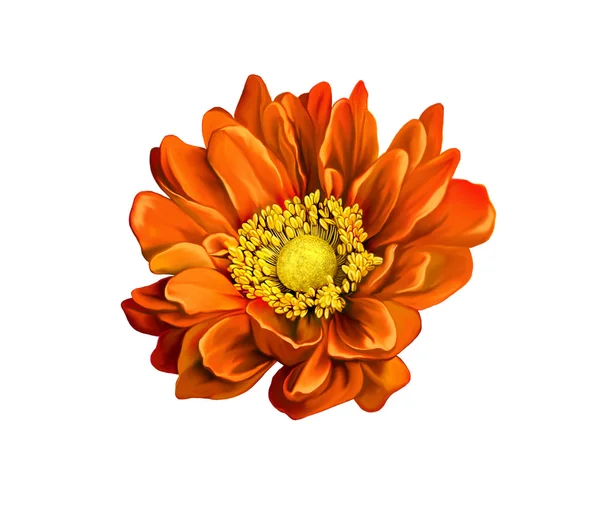 Jasně oranžová květina — Stock fotografie