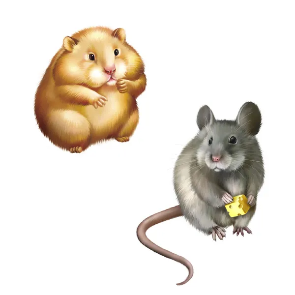 Hamster e rato de casa — Fotografia de Stock