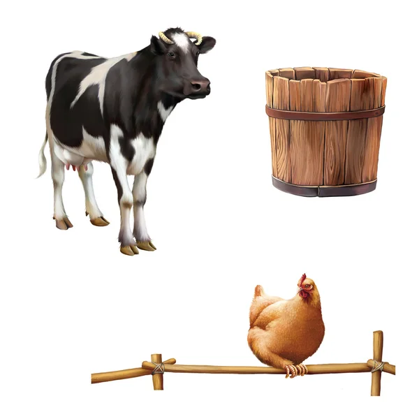 Vache, seau en bois et poulet rouge — Photo