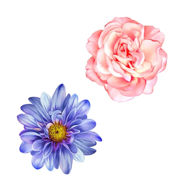 Blaue mona lisa und rose — Stockfoto