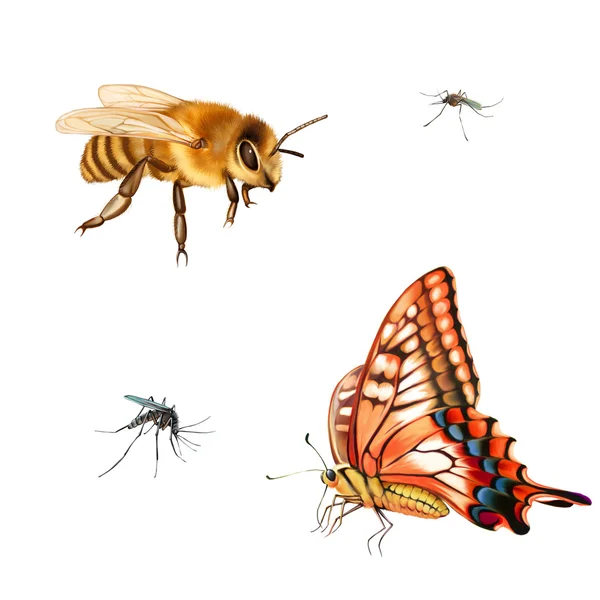 Mariposa, abeja y mosquito —  Fotos de Stock