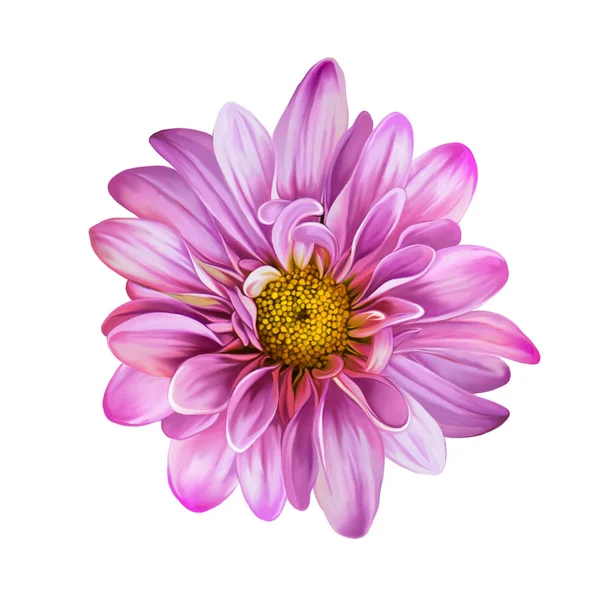 Цветок Моны Лизы — стоковое фото