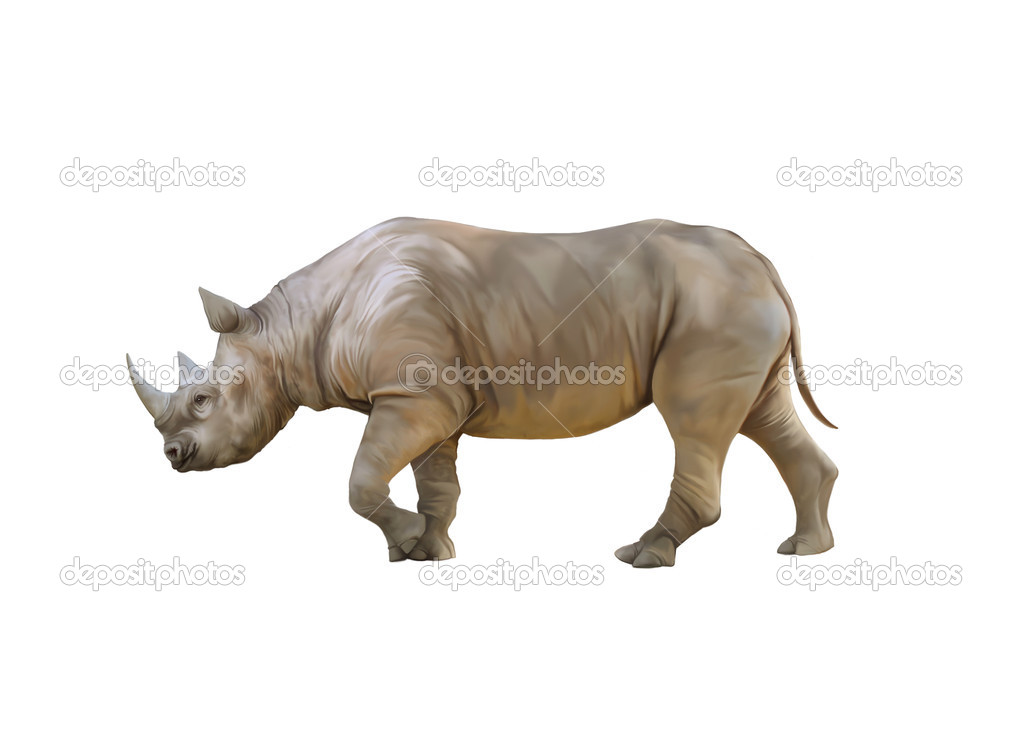Big African Rhino