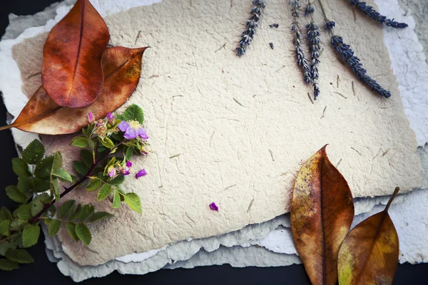 Lavendel bloemen, herfst bladeren en rose — Stockfoto