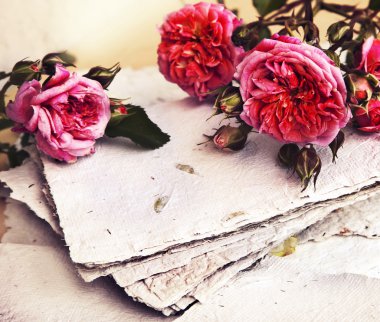 Pembe Gül ve el yapımı kağıt
