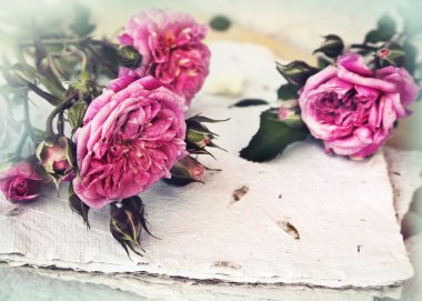 Pembe Gül ve el yapımı kağıt