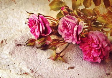 Güzel romantik arka plan pembe Güllü