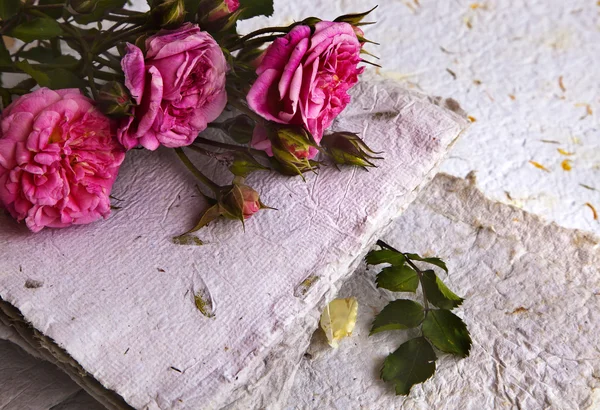Pink roses and handmade paper — Stock Photo, Image