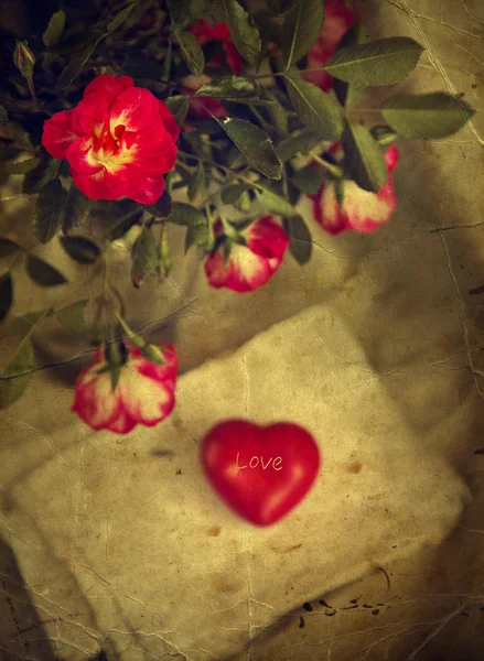 Rode rozen en rood hart — Stockfoto