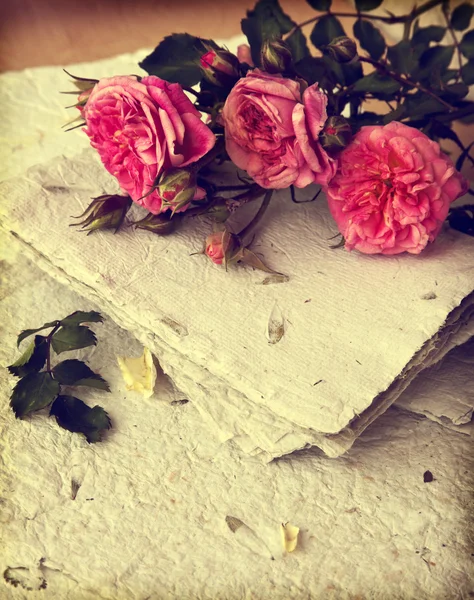 Roses roses et papier fait main — Photo