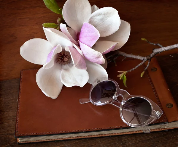 Magnolia fiori con occhiali da sole e libro — Foto Stock