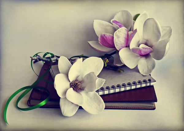Magnolia flowers with old book — Stock Photo, Image
