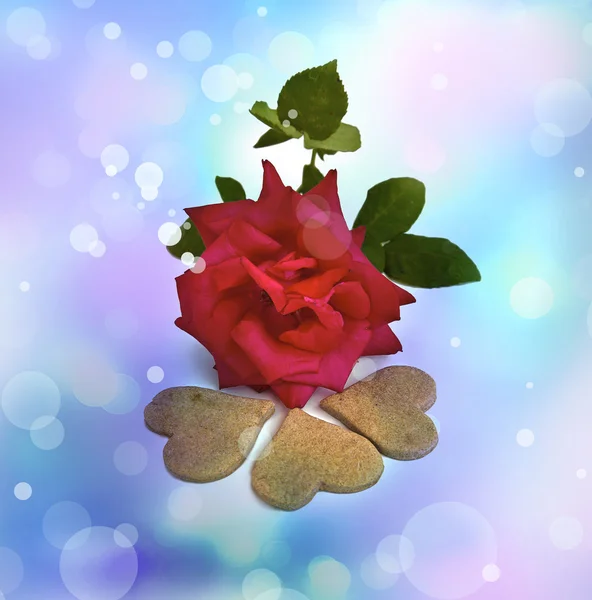 빨간 장미와 하트 모양의 쿠키 — 스톡 사진