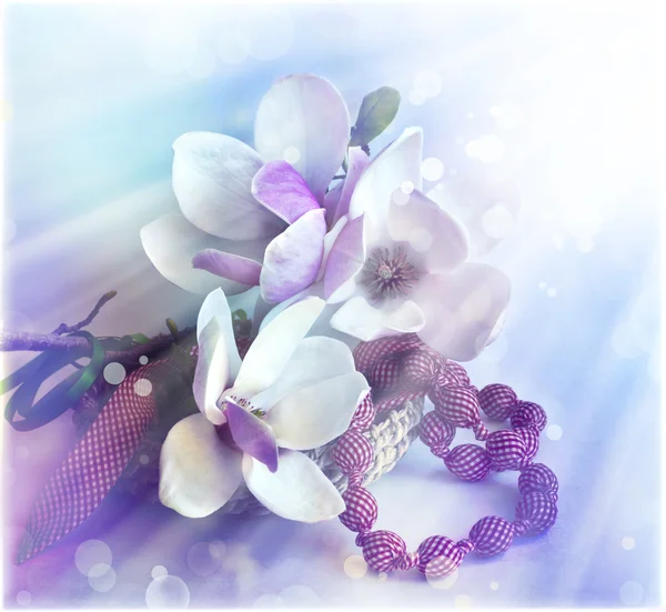 Květy magnólie a sunrashine — Stock fotografie