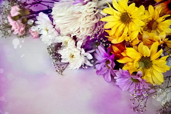 Chamomile, yellow and white chrysanthemum — Stock Photo, Image