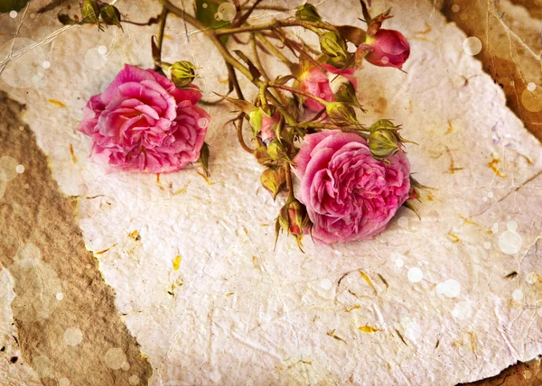 Roze rozen en handgeschept papier — Stockfoto