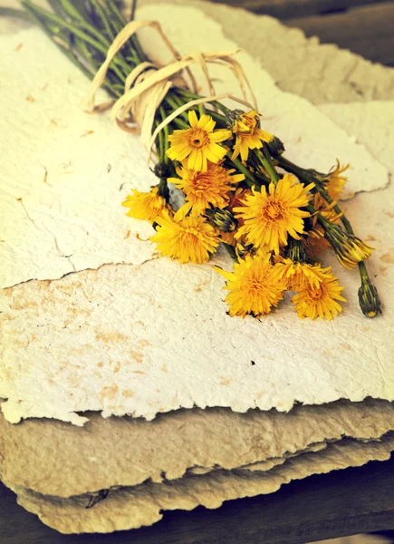 Bouquet of dandelions on handmade paper — Stock Photo, Image