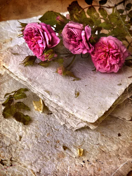 Rosas e papel feito à mão — Fotografia de Stock