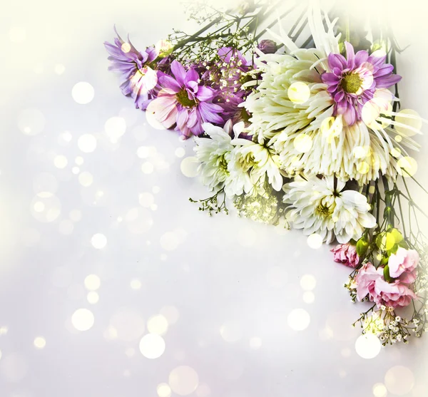 Kamille en wit chrysant — Stockfoto