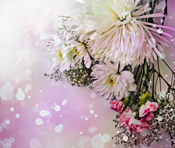 Manzanilla y crisantemo blanco —  Fotos de Stock