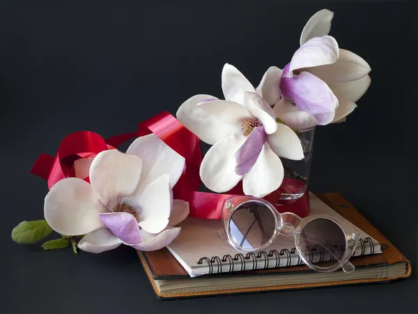 Magnolia blommor med solglasögon och gammal bok — Stockfoto