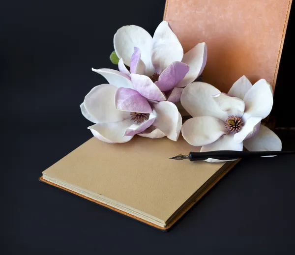 Magnolia flowers with old book — Stock Photo, Image