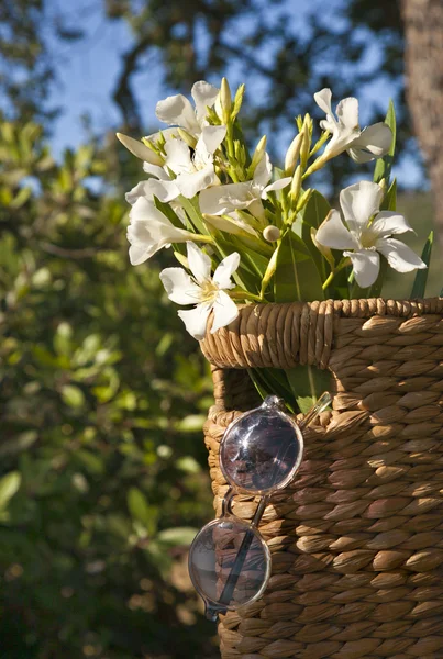 Mooie witte bloemen met mandje — Stockfoto