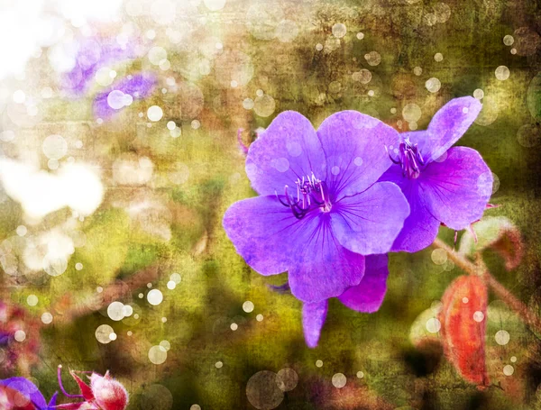 Jasne fioletowe kwiaty — Zdjęcie stockowe