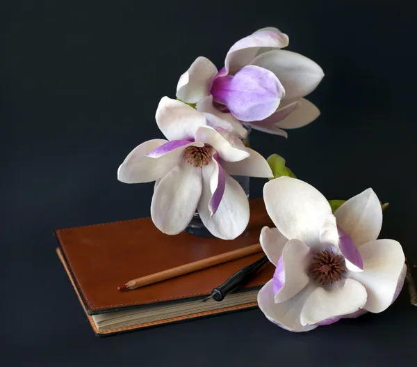 Magnolia blommor med gammal bok och penna — Stockfoto