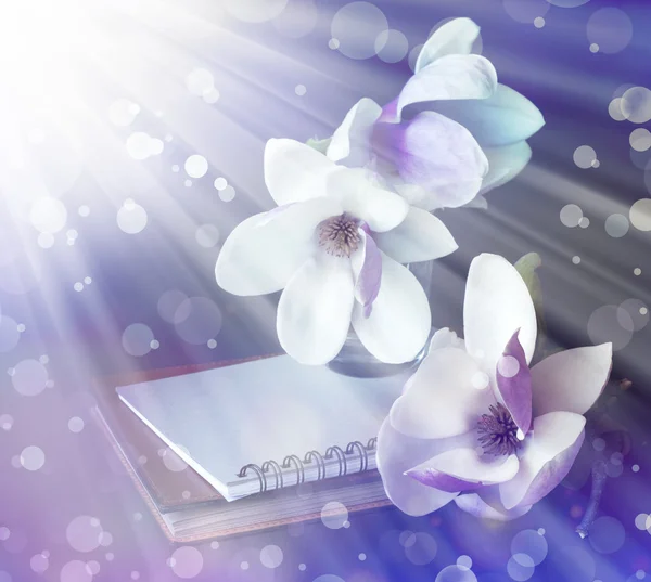 Magnolia flowers with old book and pen — Stock Photo, Image