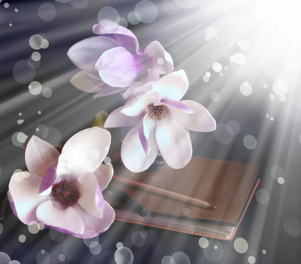 Manolya çiçek eski kitap ve kalem ile — Stok fotoğraf