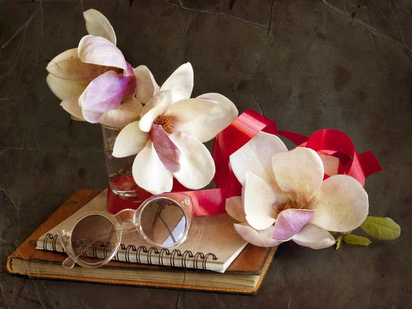 선글라스 및도 서와 목련 꽃 — 스톡 사진