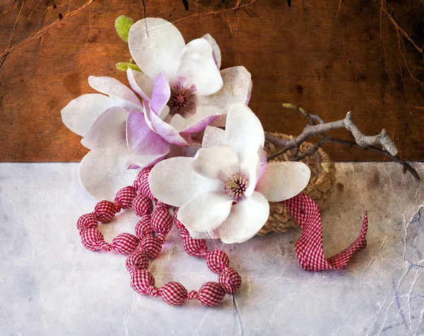 Magnolia flowers — Stock Photo, Image