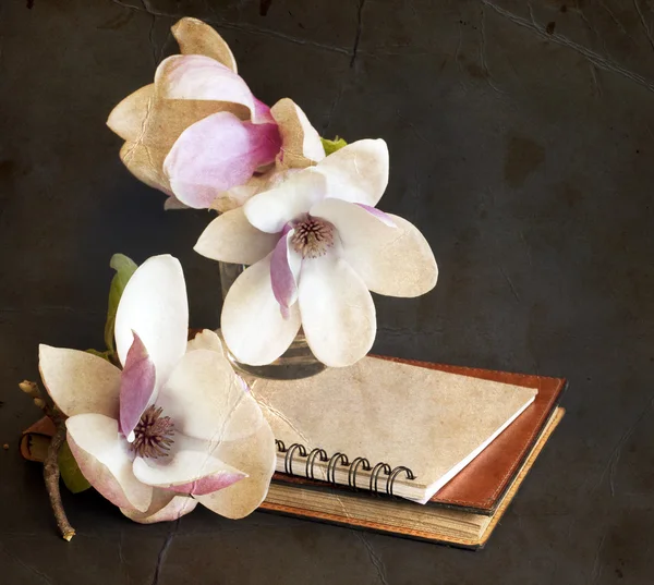 Magnolia flores com livro velho e caneta — Fotografia de Stock