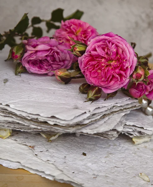 Rosas cor-de-rosa e papel artesanal — Fotografia de Stock