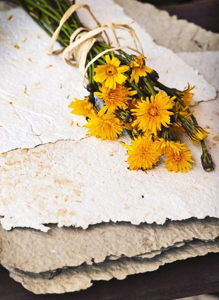Bouquet of dandelions on handmade paper — Stock Photo, Image
