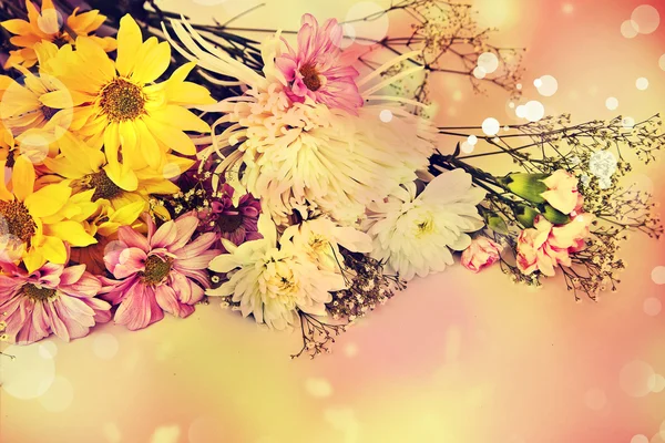 洋甘菊、 黄色和白色的菊花 — 图库照片